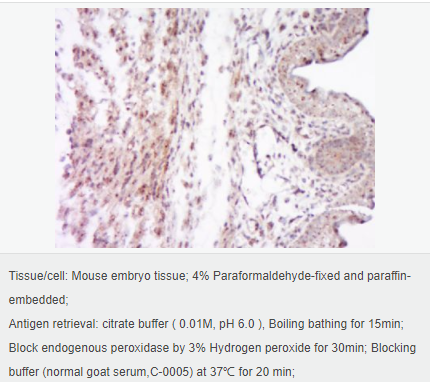 6052a9c281a09.png image.png