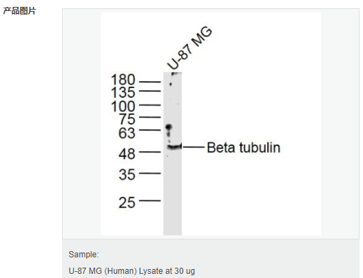 6052b70737d45.png image.png