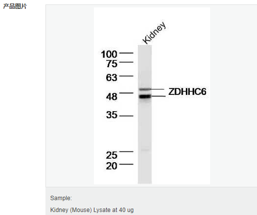 6052c05e3ac89.png image.png