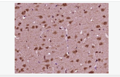 605411ba57fa0.png image.png