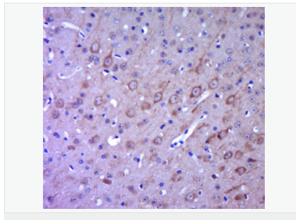 605412dd1dc4e.png image.png