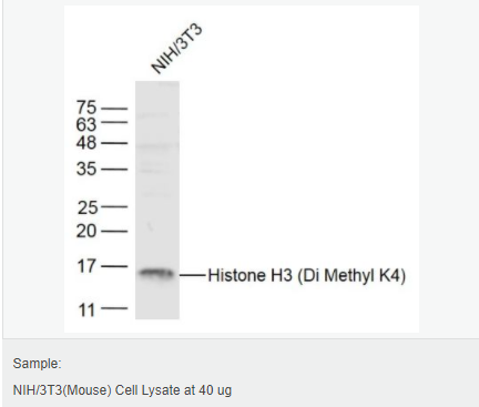 60544d657c4b4.png image.png