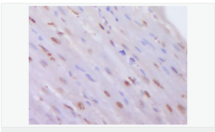 60544d6e7364a.png image.png