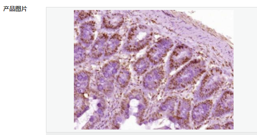 60544dea68ff4.png image.png