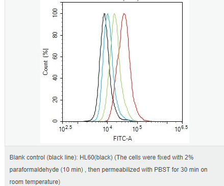 60580157d969c.png image.png