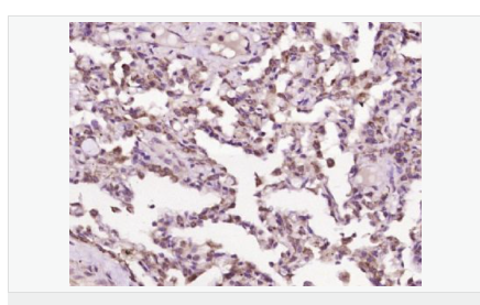 60582dca5c5d9.png image.png