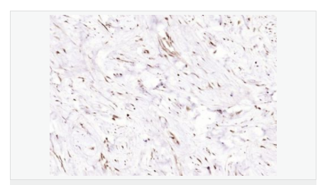 60583f27da4e1.png image.png