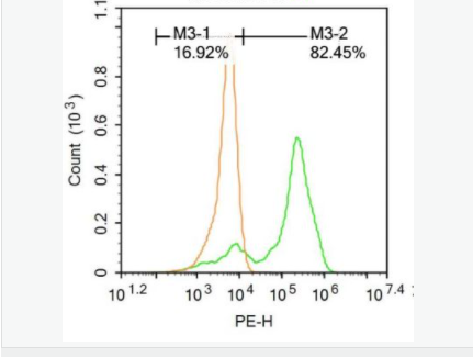 60583f5ac97ec.png image.png