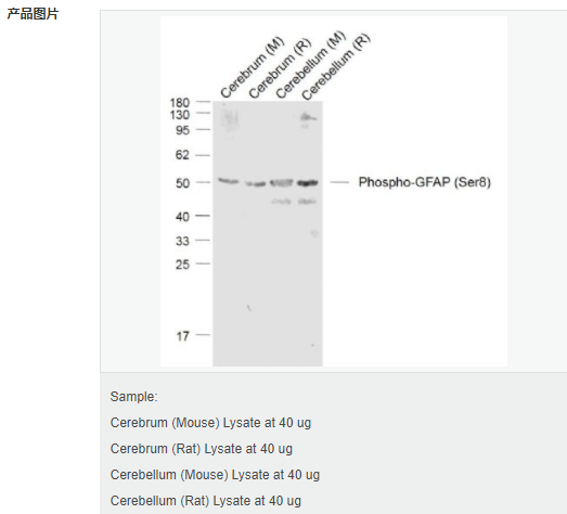 605847fe50fab.png image.png