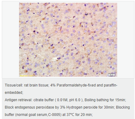 60584dcb507c1.png image.png