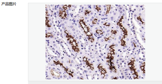 60594e841ec91.png image.png