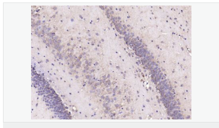 605953456ec71.png image.png