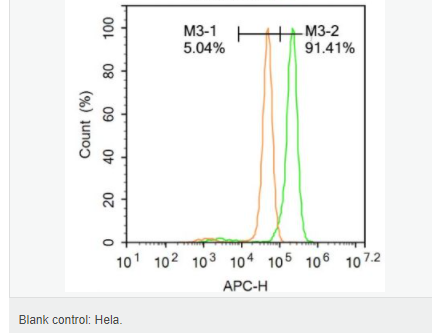 60595d4e6b8fd.png image.png