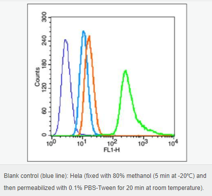 605c4003e9666.png image.png