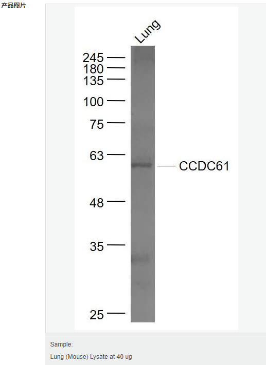 605c475c4018b.png image.png