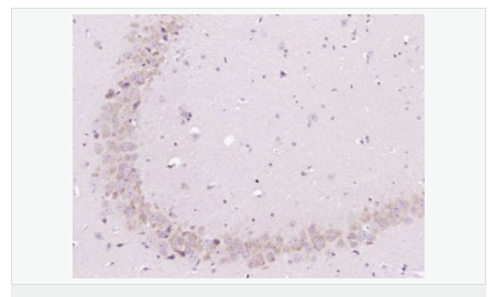 605c476424ca7.png image.png