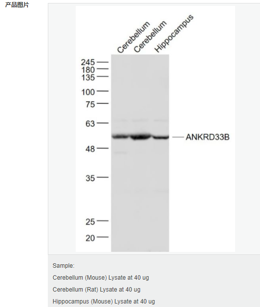 605d9faccf43e.png image.png