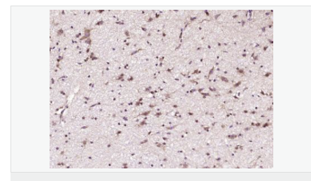 605d9fcc897e1.png image.png