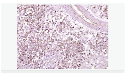 6064156eeedae.png image.png