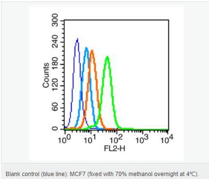 6066c4bf05968.png image.png