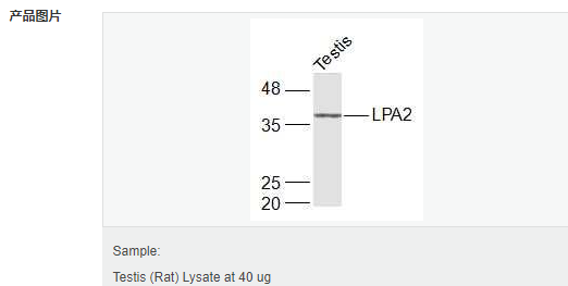 6066d4e96266c.png image.png