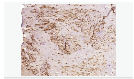 606bc7e5cad65.png image.png