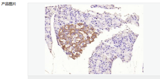 606bcf53969f9.png image.png