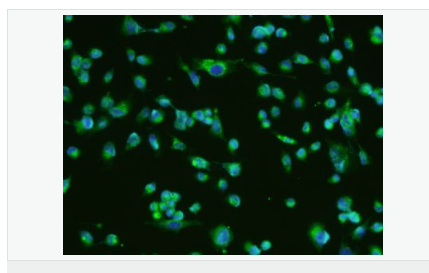 6076485229014.png image.png