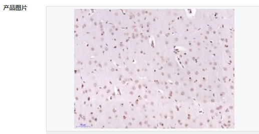 607652e4a09dd.png image.png