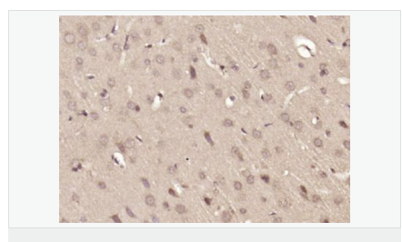 6076590c87592.png image.png