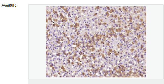 60765ac06622f.png image.png