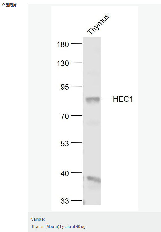 60765b0d1efe2.png image.png