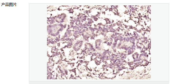 60765cbb49fe1.png image.png