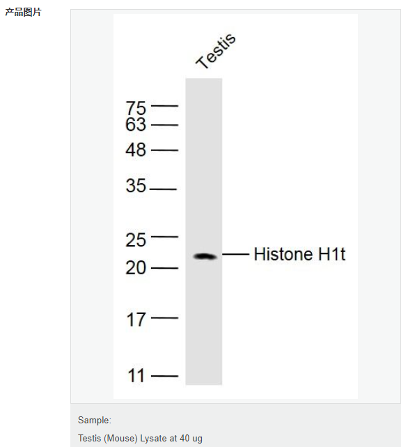 60765f412cf41.png image.png