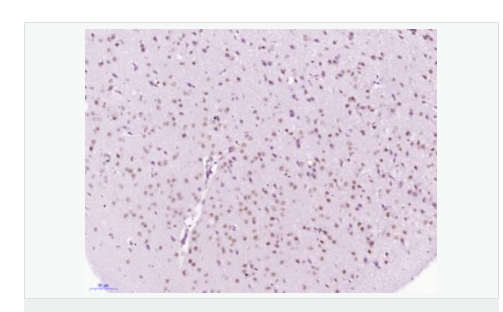 60767bd986420.png image.png