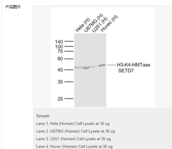 60767cb00423f.png image.png