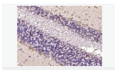 607683961e9cb.png image.png