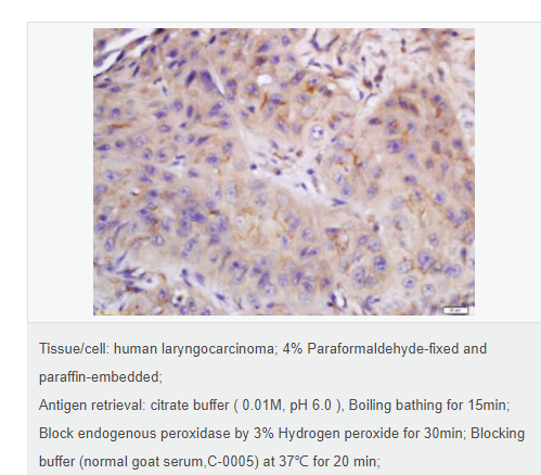 6077a93f7bf79.png image.png