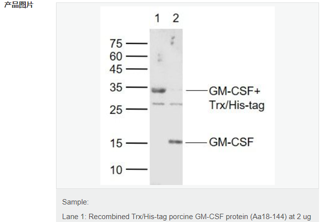 6077ee4cba0cc.png image.png