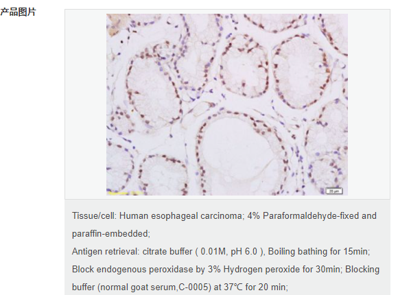 6078f6dab35e1.png image.png