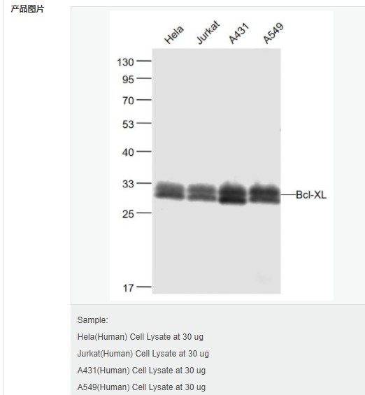 607d21c3dbbde.png image.png