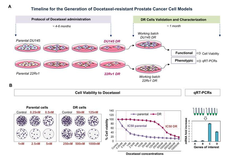 68ea113296f2d.png image.png